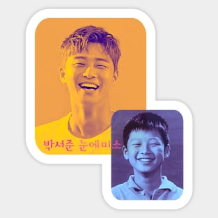 Park Seo-Joon_Smile of The Eyes Sticker